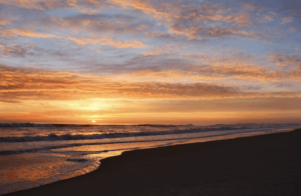 Things to Do in May in The Outer Banks - Shoreline OBX